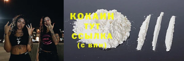 крисы Бугульма