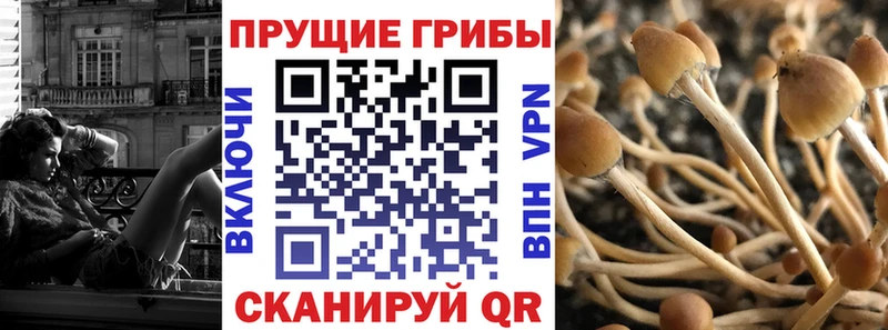 Псилоцибиновые грибы Psilocybe  продажа наркотиков  Комсомольск-на-Амуре 